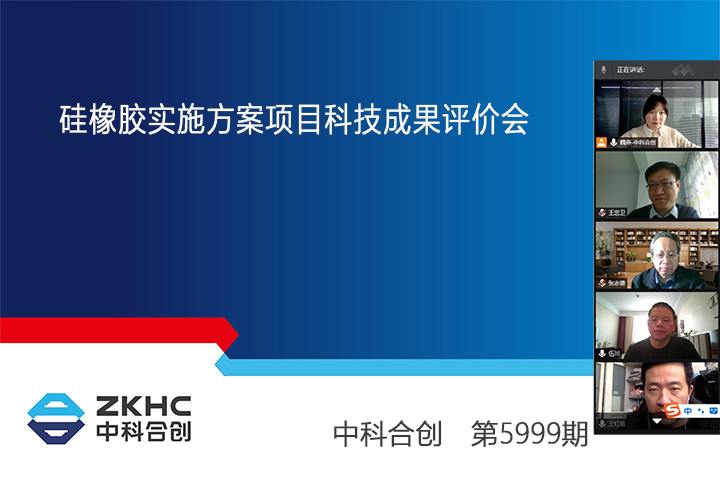 硅橡胶实施方案 xiao.jpg